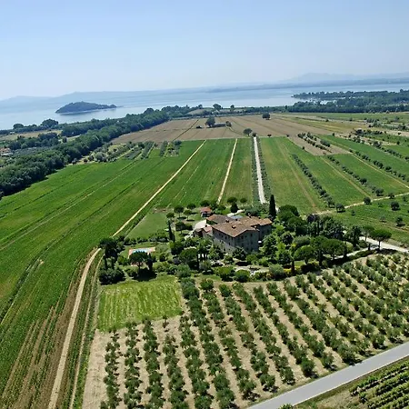 La Fattoria Del Rio Di Sopra - Baldeschi * טואורו סול טראסימנו