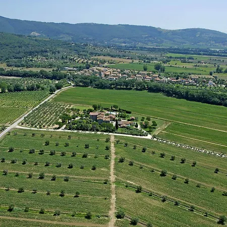 La Fattoria Del Rio Di Sopra - Baldeschi טואורו סול טראסימנו