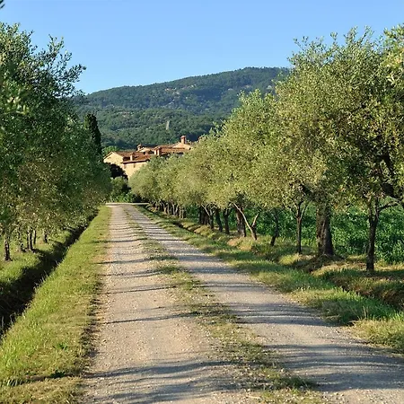 Agroturismo La Fattoria Del Rio Di Sopra - Baldeschi