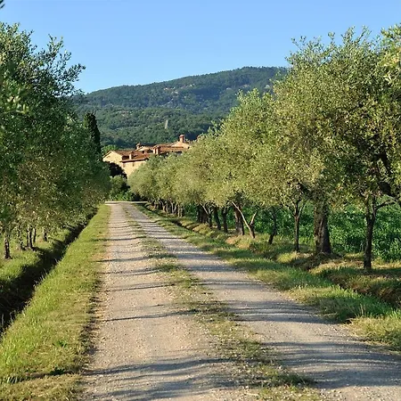 Farm stay La Fattoria Del Rio Di Sopra - Baldeschi